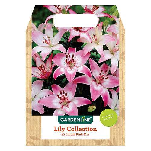 Mixed Spring Bulbs - Assorted Varieties