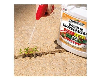 Spectracide 
 Weed & Grass Killer or Bug Stop