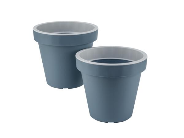 Plant Pot