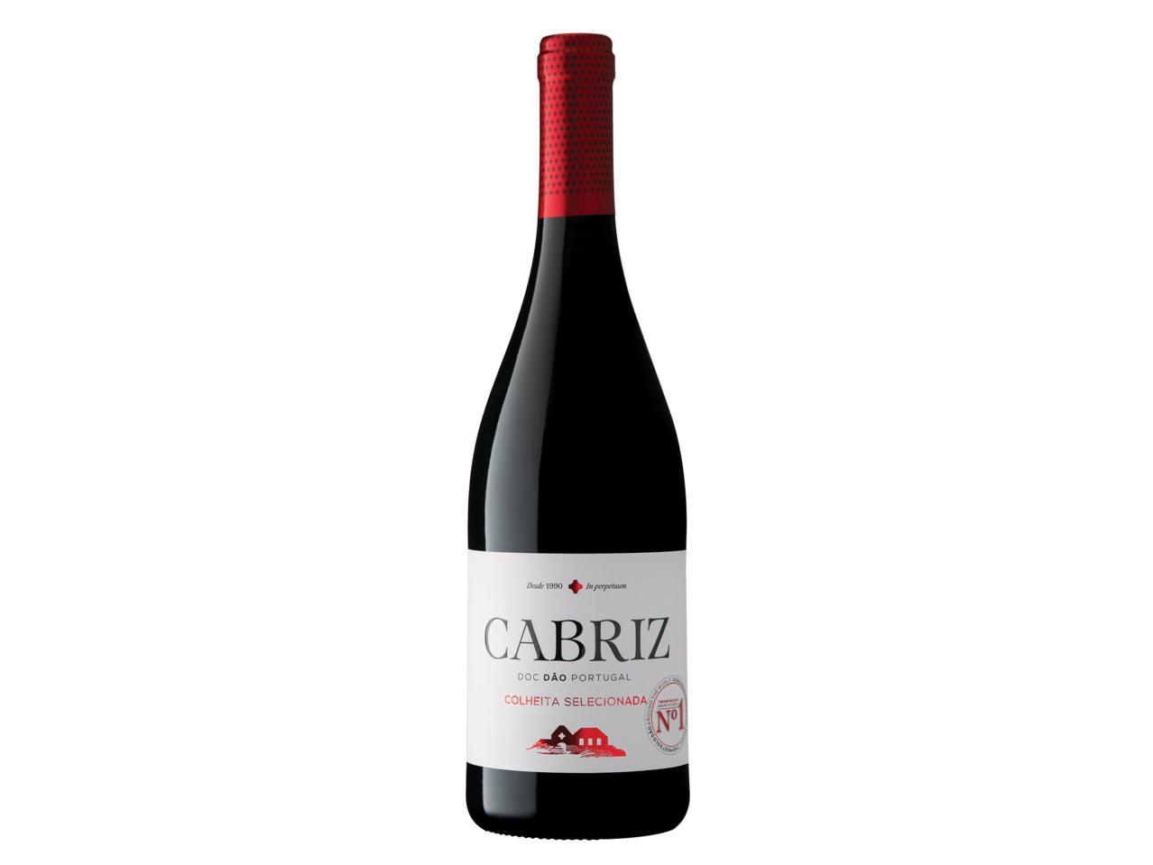 Cabriz Dao DOC1