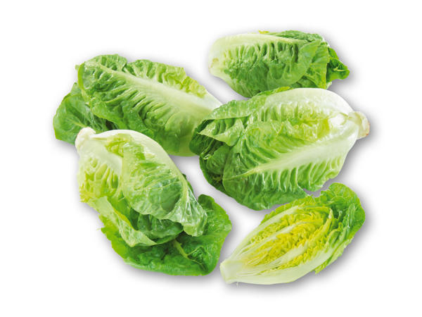 Dansk økologisk hjertesalat