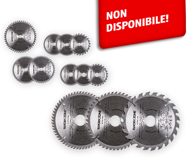 Lame per sega circolare WORKZONE(R)