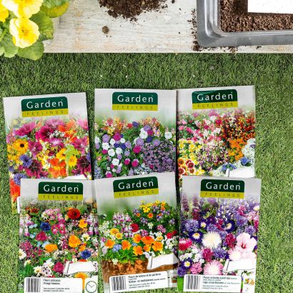Tapis de fleurs