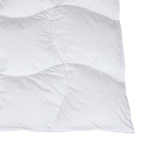 ALBIS Couette en duvet degré de chaleur 1, 160 x 210 cm