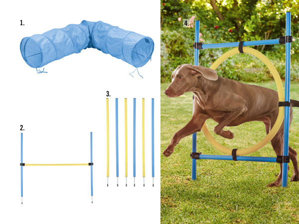 Accessoires d'agility