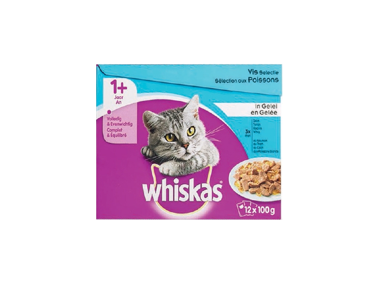 Kattenvoeding in gelei