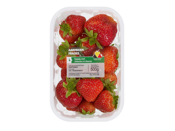 Fraises belges