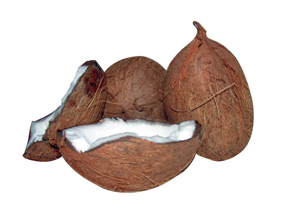Kokosnöt