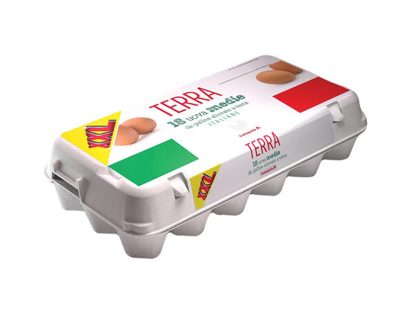 Medium-Size Eggs