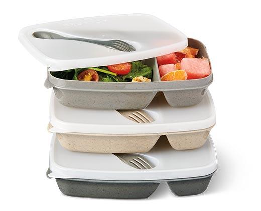 Crofton Bento Box