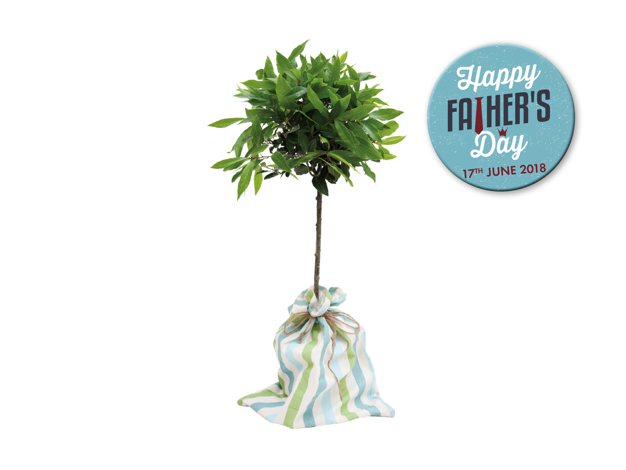Tree in Hessian Bag 1