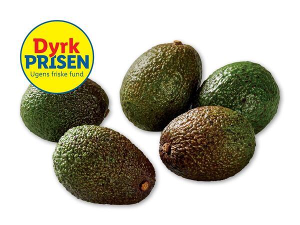 Avocado