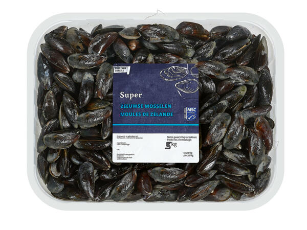 Moules fraîches de Zélande " Super "