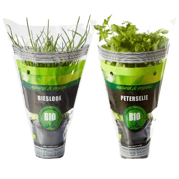 Biobieslook of biopeterselie