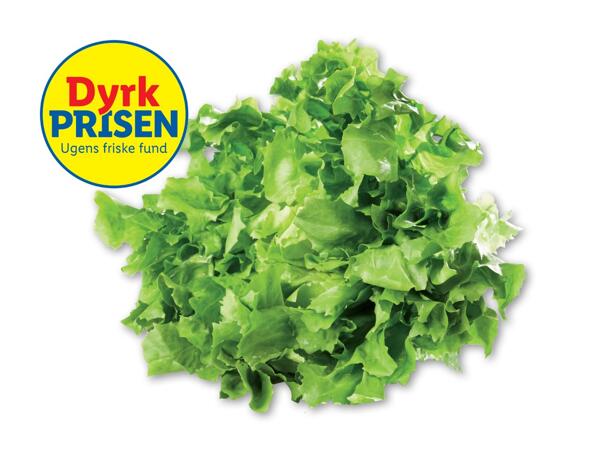 Dansk crispsalat