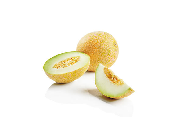 Galiamelon