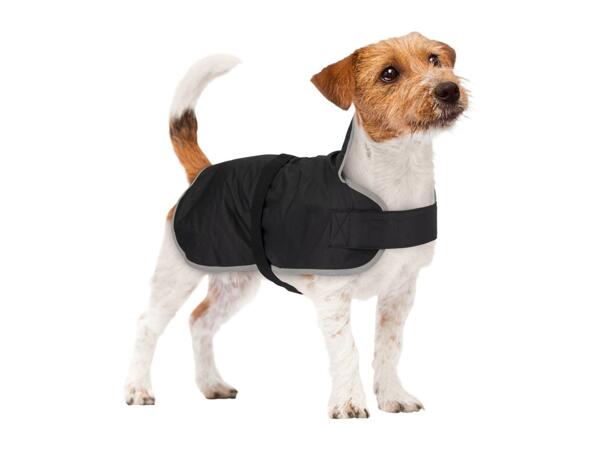 Zoofari Black Dog Coat