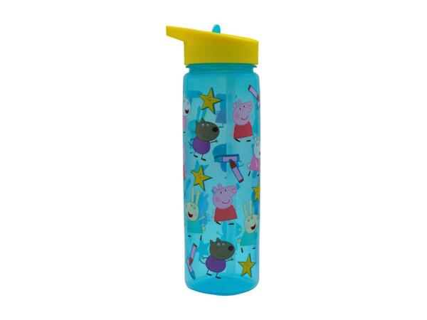 Zak 600ml Character Water Bottle
