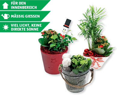 Festliche Arrangements mit Weihnachtsdekoration