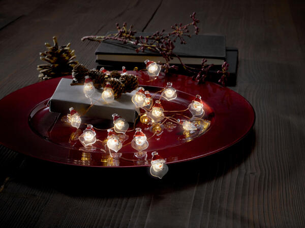 20 LED String Lights