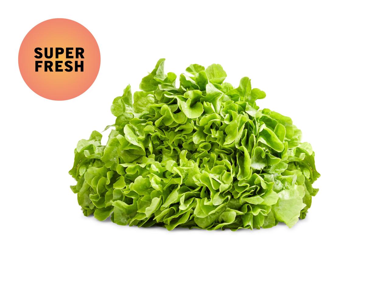 Salade de feuille de chêne