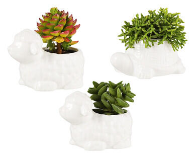 Ceramic Animal Pot with Succulent