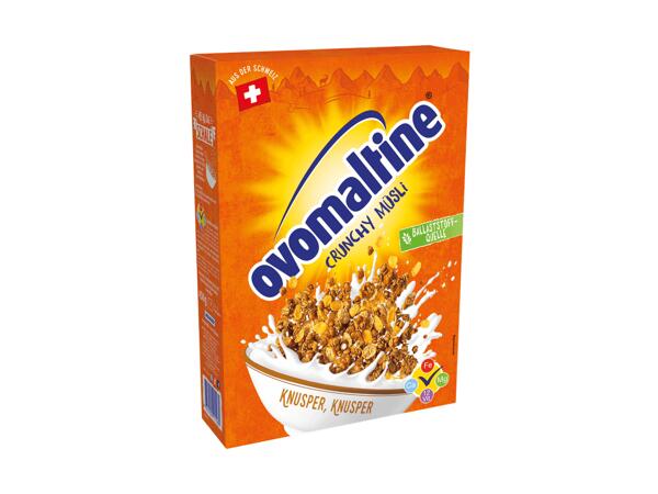 Crunchy Müsli