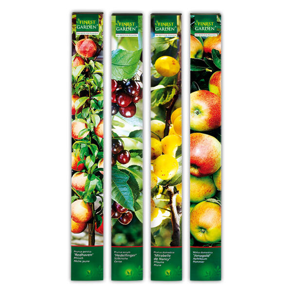 Obstbäume
