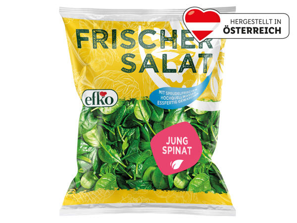 Efko Jungspinat