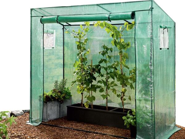 Greenhouse