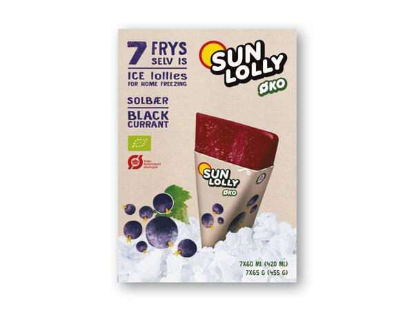 Sun Lolly økologiske frys selv-is