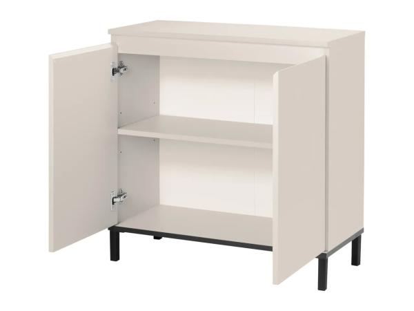Storage Cabinet With 2 Doors