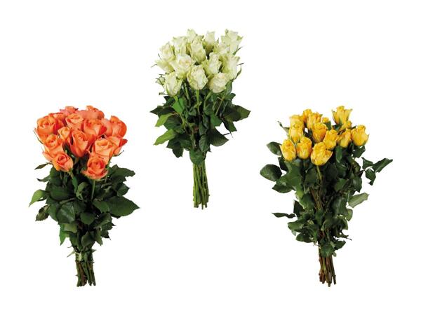 Roses
