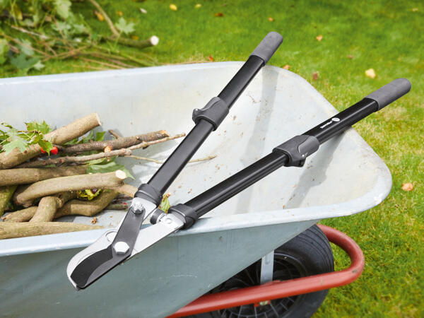 Telescopic Pruning Shears