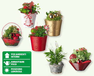 Composizioni per le feste con decorazione natalizia