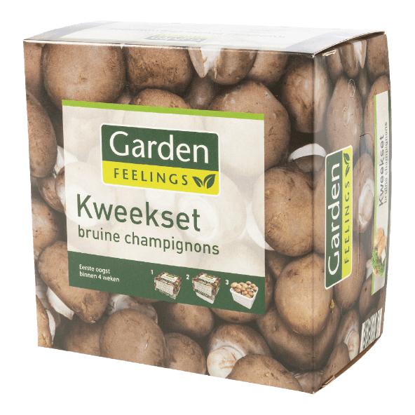 Kweekpakket voor champignons