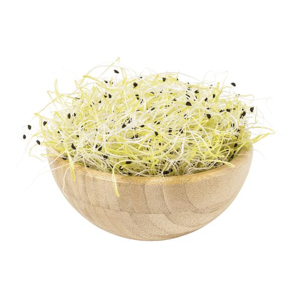 Lauchsprossen