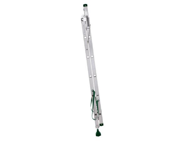 Multi-Purpose Ladder