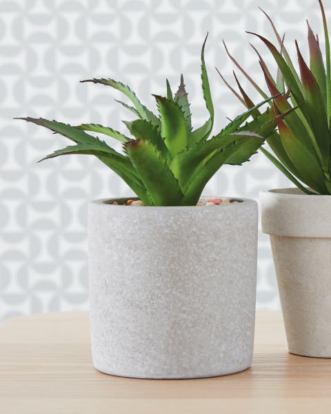 Artificial Sansevieria Stone Pot