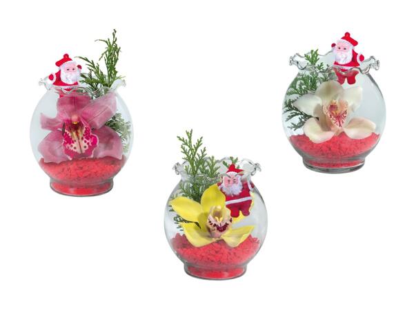 Orchidée dans un verre à bord ondulé avec déco de Noël