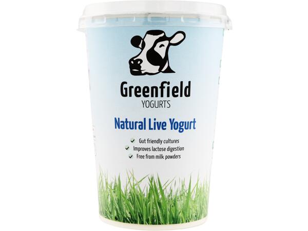 Greenfield Yogurts Natural Live Yogurt