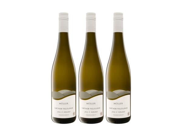 Grüner Veltliner Löss & Schotter
