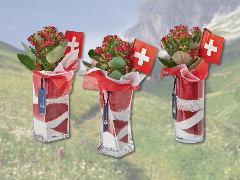 Kalanchoé dans un pot en verre avec fanion suisse (dès 28.7.)