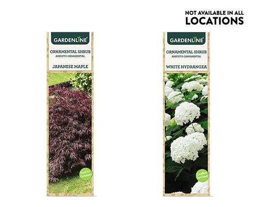 Gardenline
Ornamental Shrub Assorted Varieties