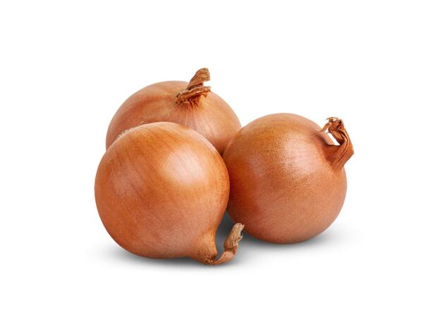 Brown Onions