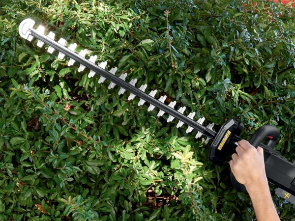 40V Cordless Hedge Trimmer