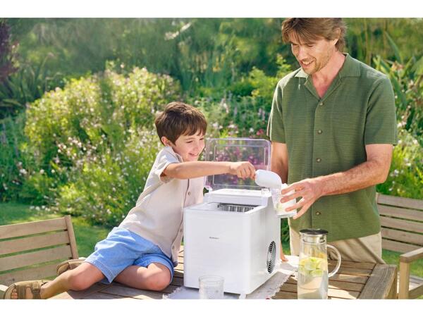 Ice maker
