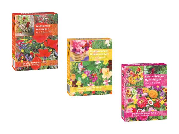 Vilde og sommerblomsterfrøblanding