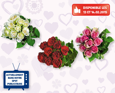 Roses à longues tiges de la Saint-Valentin Max Havelaar FAIRTRADE