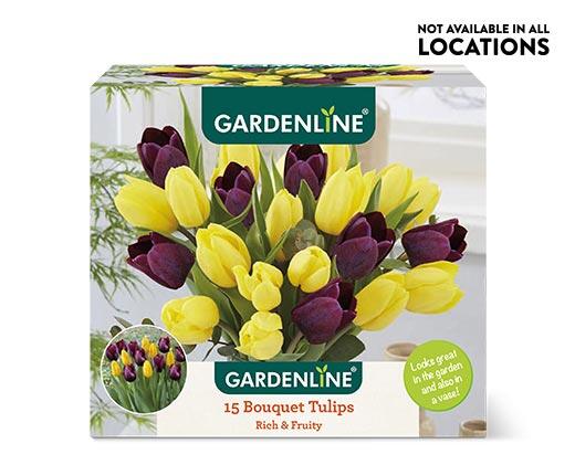 Gardenline Perfect Match Bulbs Assorted Varieties